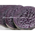 Chinesisches Fresh Purple Yam für den Export